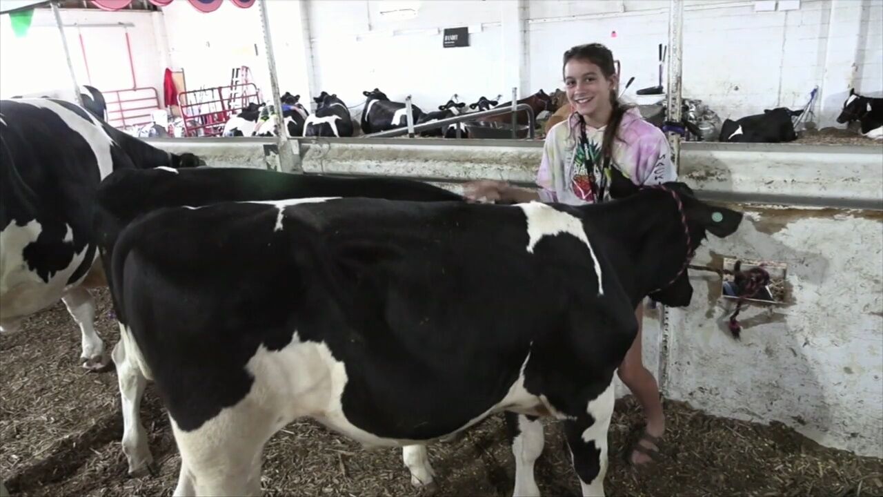 4-H Spotlight: Junior Fair members provide insight on showing dairy cows